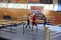 Боксеры «Юпитера» завоевали три медали на Межрегиональном турнире в Михайлове