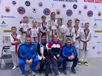 Тхэквондисты-«юпитерцы» завоевали 5 «золотых», 12 наград на Всероссийском «Кубке Балтийского моря» в Питере